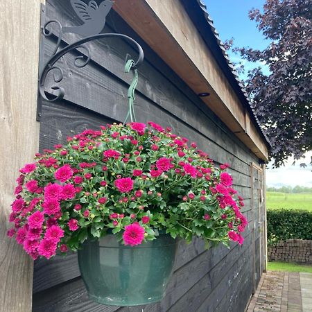 De Barg Villa Vinkenbuurt Ngoại thất bức ảnh